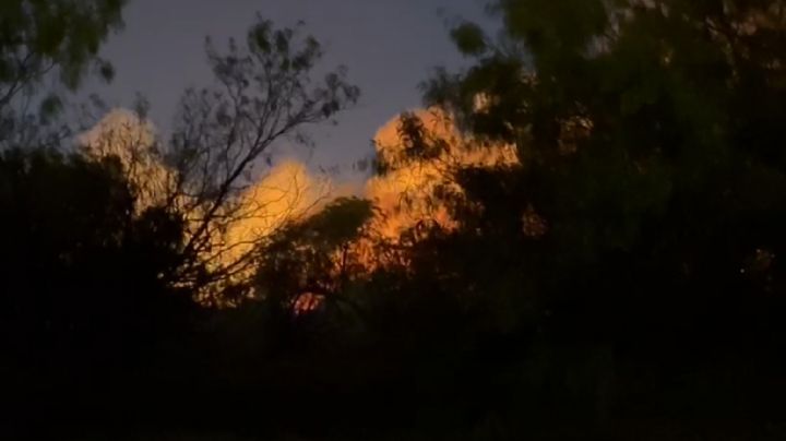 Se incendian pastizales a un lado del Laredo College; evacúan edificios del campus | VIDEO