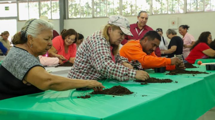Siembra tu futuro: Nuevo Laredo te enseña a cultivar tu propia comida