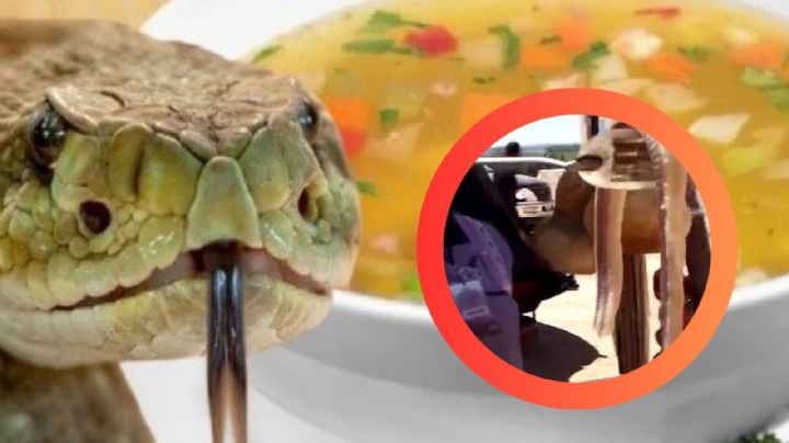 Caldo de víbora: así se prepara uno de los platillos 'prohibidos' del norte de México