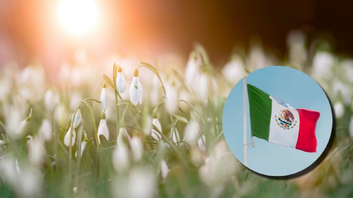 ¿Cuándo inicia la primavera 2025 en México?, esta es la fecha y hora exacta
