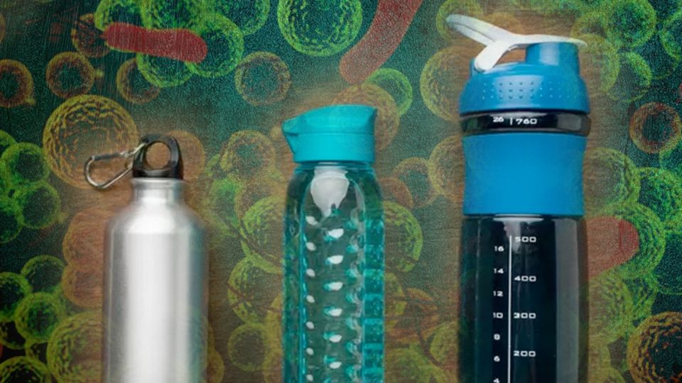 Los gérmenes en los termos