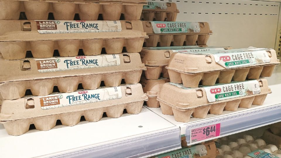 El huevo se ha convertido en un artículo de lujo; la mala noticia es que el aumento en el costo seguirá.