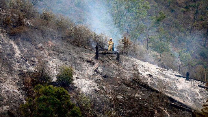 Familia que viajaba en la Van calcinada en la sierra de Santiago era de Nuevo Laredo; 12 fallecidos