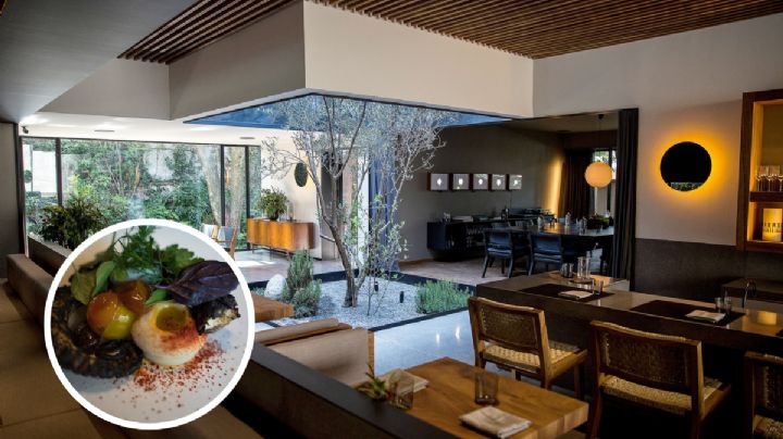 ¿Dónde está el restaurante más caro de todo México, según la Inteligencia Artificial?