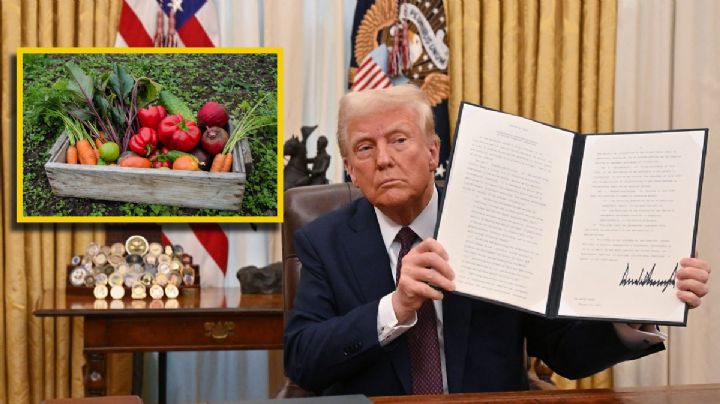 Nuevos aranceles: Trump amenaza con imponer impuestos a productos agrícolas; ¿en qué fecha?