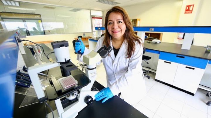 Científica mexicana identifica plantas que ayudan a inhibir células cancerígenas