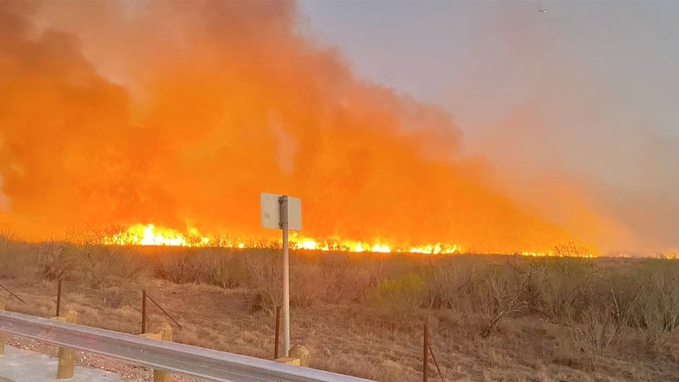 Incendios en zacatales