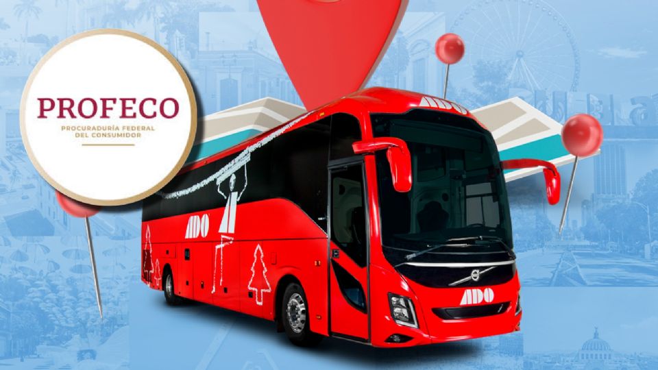 Estos son tus derechos como consumidor al viajar en autobús, según Profeco