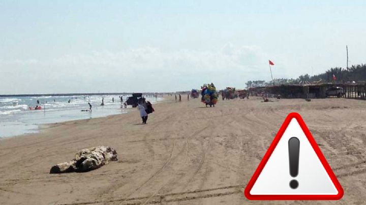 Semana Santa: niña de 7 años muere ahogada en la playa; iba como parte de una excursión