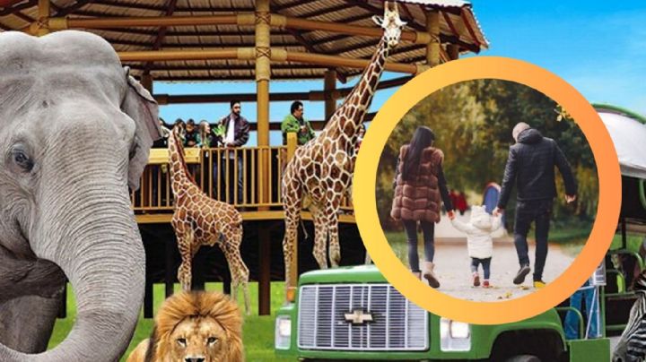 Bioparque Estrella en Monterrey: ¿cuánto cuesta con transporte incluido?, te lo decimos