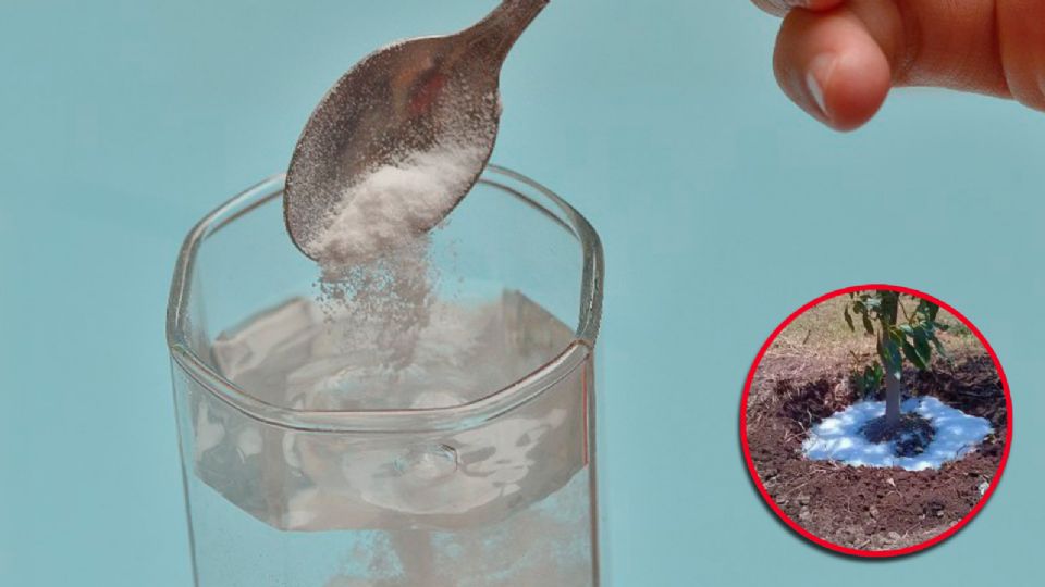 El agua en polvo podría ser la nueva solución a las condiciones que vienen en el mundo provocados por el calentamiento global