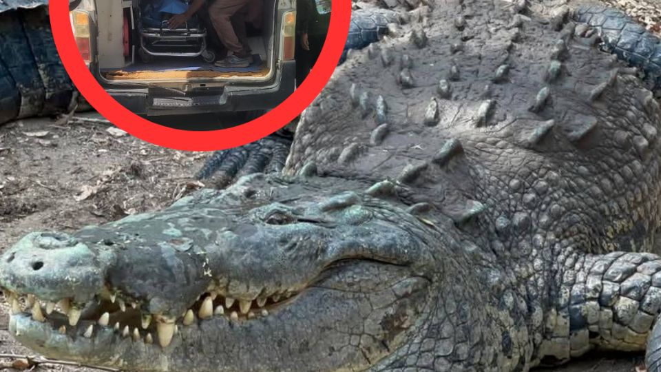 El niño fue rescatado por pobladores.