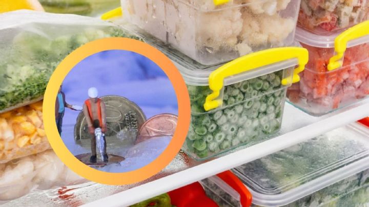 ¿Te vas de vacaciones?, este truco con una moneda en el congelador podría salvar tu comida