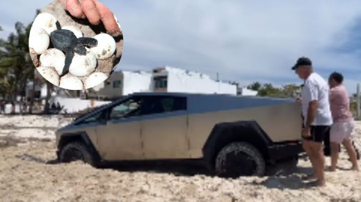 Turistas meten su Cybertruck en playa mexicana donde anidan tortugas; terminaron atascados | VIDEO