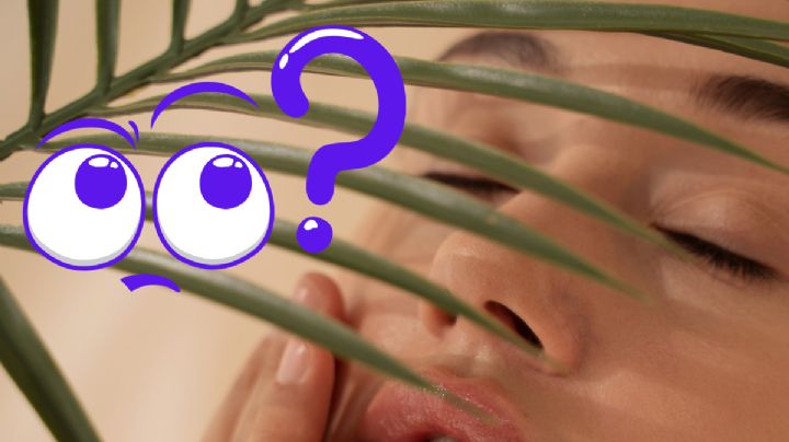 Esta magnífica planta ayuda a rejuvenecer; seguro tienes una en casa y no lo sabías