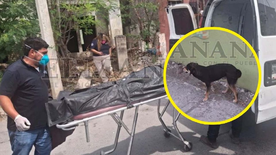 El hombre ya fue identificado por las autoridades