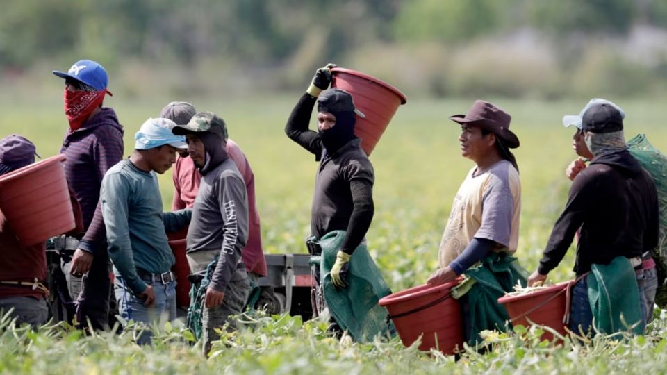 Migrantes en Florida.