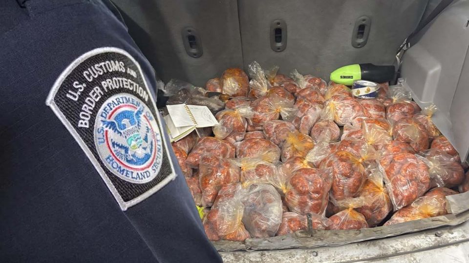 Intenta cruzar carne prohibida por Puente Internacional