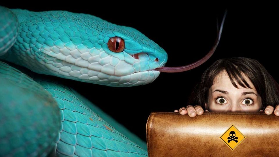 La serpiente azul es única en el mundo... y muy peligrosa.