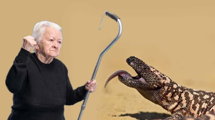 El veneno de este enigmático reptil ha ayudado a desarrollar el tratamiento contra la diabetes