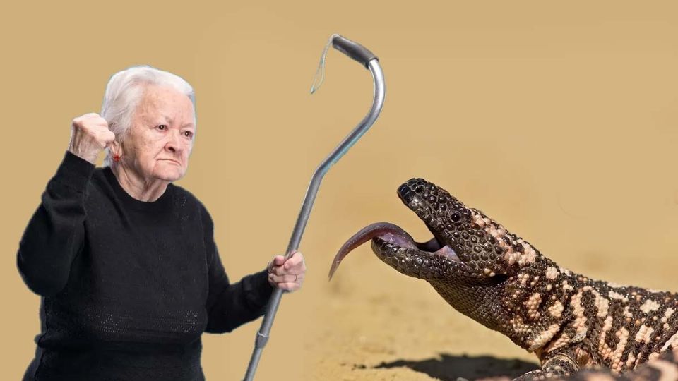 El veneno de este reptil podría revolucionar la medicina moderna