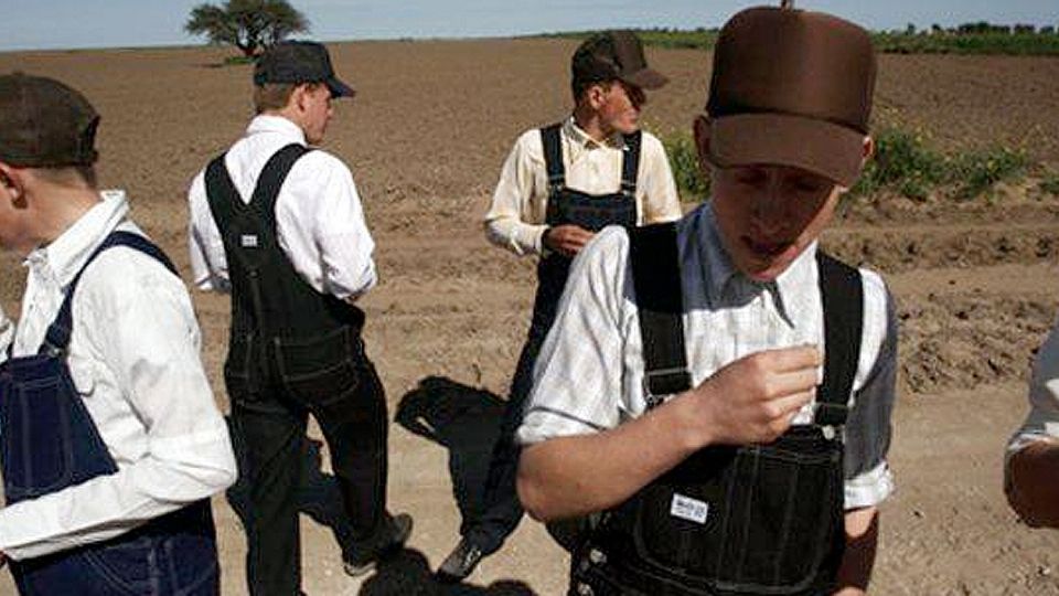 Los menonitas de Tamaulipas.