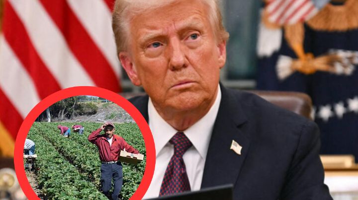 Juez prohíbe a Donald Trump congelar fondos a las ciudades santuario