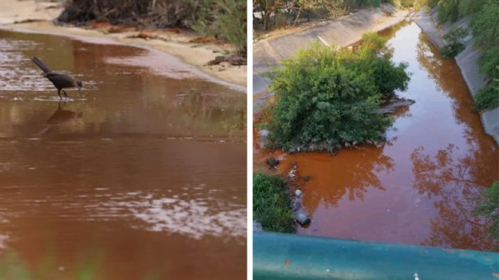 Ternium 'pinta'  de rojo arroyo de Nuevo León; derrama 400 mil litros de productos químicos