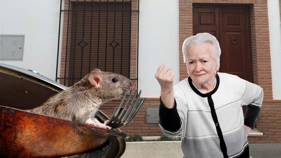 Así puedes evitar que los ratones de tu vecino entren a tu casa