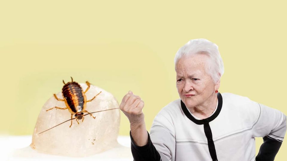 Las cucarachas más dificiles de acabar