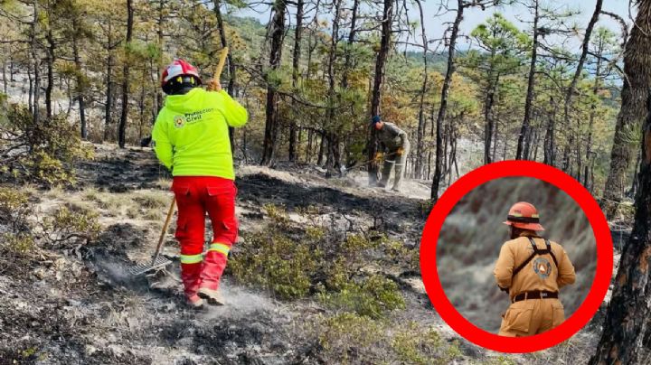Confirman 100% bajo control en uno de los incendios de Nuevo León; la Brigada Fénix se dividió y tuvo éxito