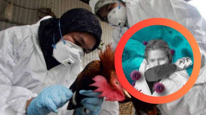 Muere niña de tres años por influenza aviar AH5N1 en México; primer caso humano registrado