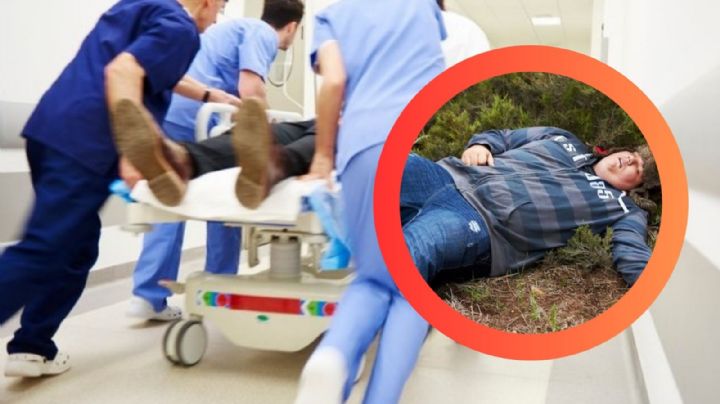 Esta serpiente parece 'inofensiva', pero podría matarte; estos son sus colores