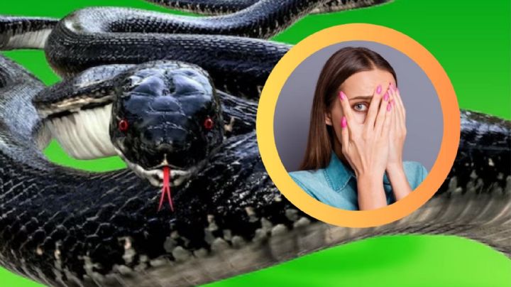 Mordida de serpiente: así luce tu cuerpo en seis horas sin tratamiento; podrías sufrir amputación