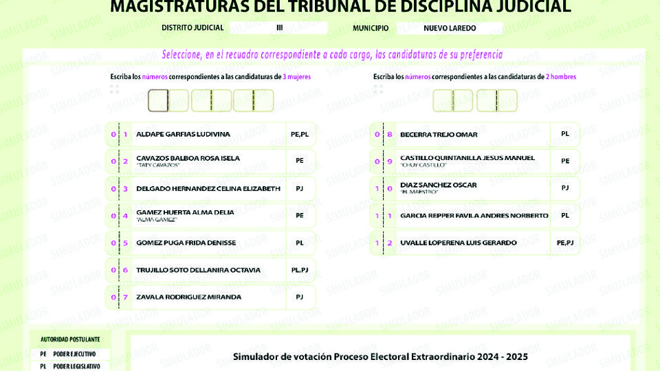 Las boletas son diversas, entre estatales, federales y de distintas instancias.