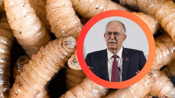 México no es responsable de controlar la plaga de gusano barrenador, afirma Julio Berdegué