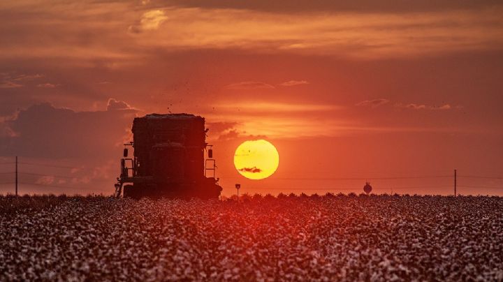Texas registra calor tan intenso como si fuera canícula; se romperán récords en varias ciudades