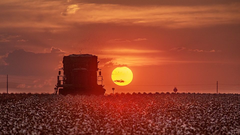 Calores de canícula en Texas.