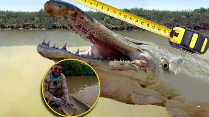 Pesca enorme catán en Texas y sorprende a todos con su tamaño: 'atrapé este monstruo' | VIDEO