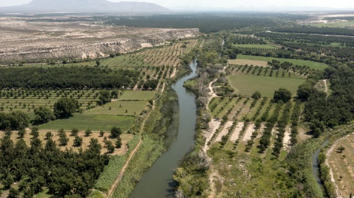 ¿Qué frutas se pueden sembrar a la orilla del Río Bravo?