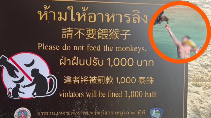 Turistas serán sancionados por alimentar la fauna de este parque; los pescaron ‘in fraganti’ | VIDEO