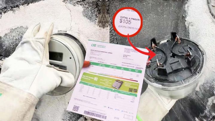 Si CFE y GN llegan a revisar el medidor de luz, ¿el usuario puede impedirlo según la ley?