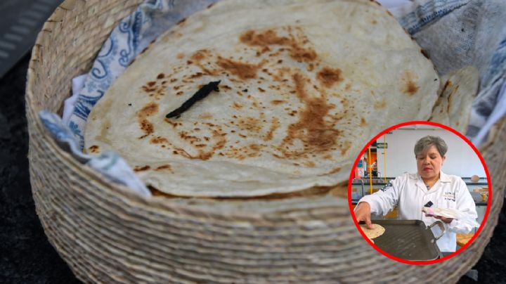 Científica mexicana crea ‘súper tortilla’ para combatir la desnutrición; no necesita refrigeración