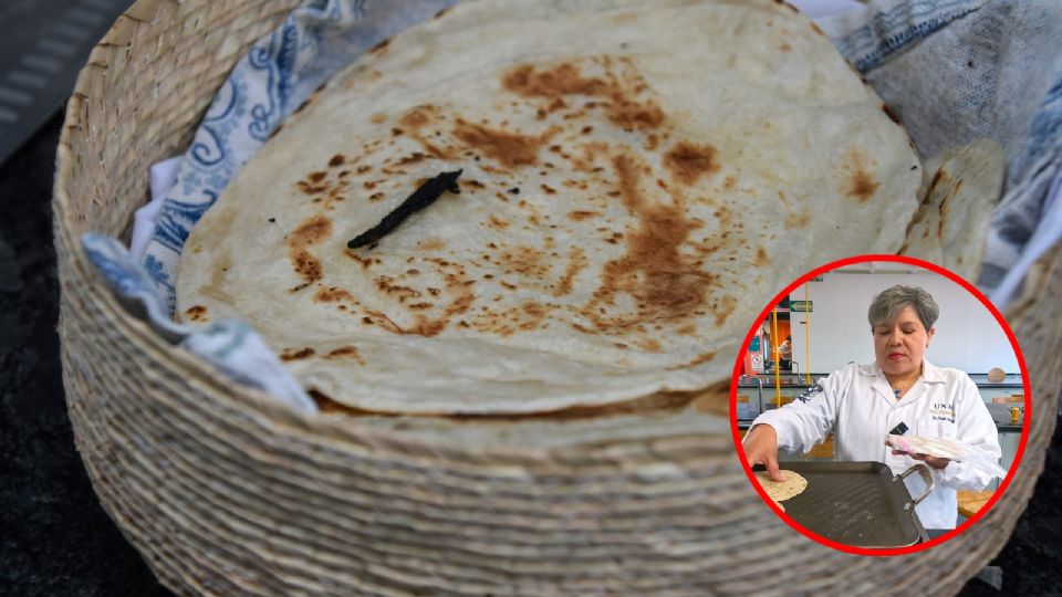 Científica de la UNAM crea 'súper tortilla' para combatir la desnutrición en el país