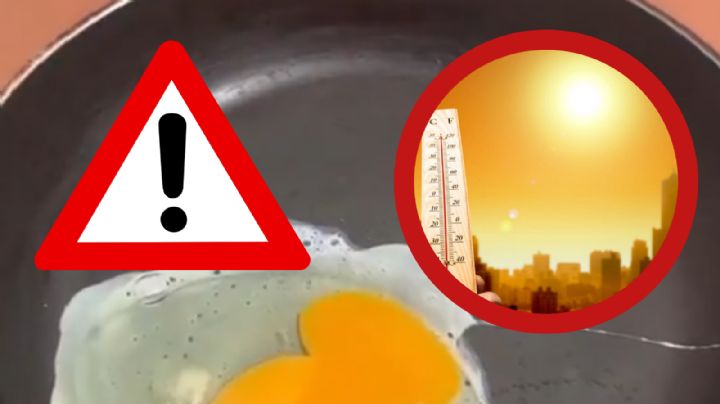Ola de calor: joven se viraliza al cocinar huevo a 50 grados bajo el sol | VIDEO