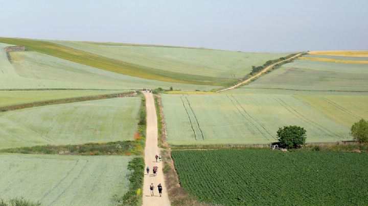 ¿Qué es el 'Camino de Santiago' y por qué las personas que lo recorren dicen que les cambia la vida?