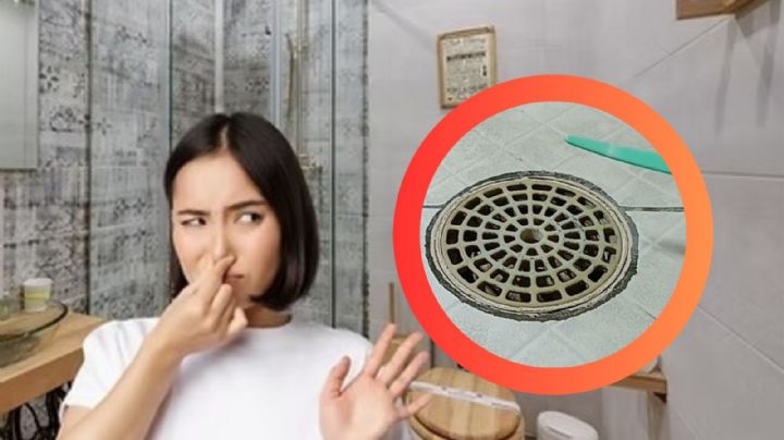 ¿Olor a caño en tu baño?, así puedes eliminarlo de la coladera sin romper el piso
