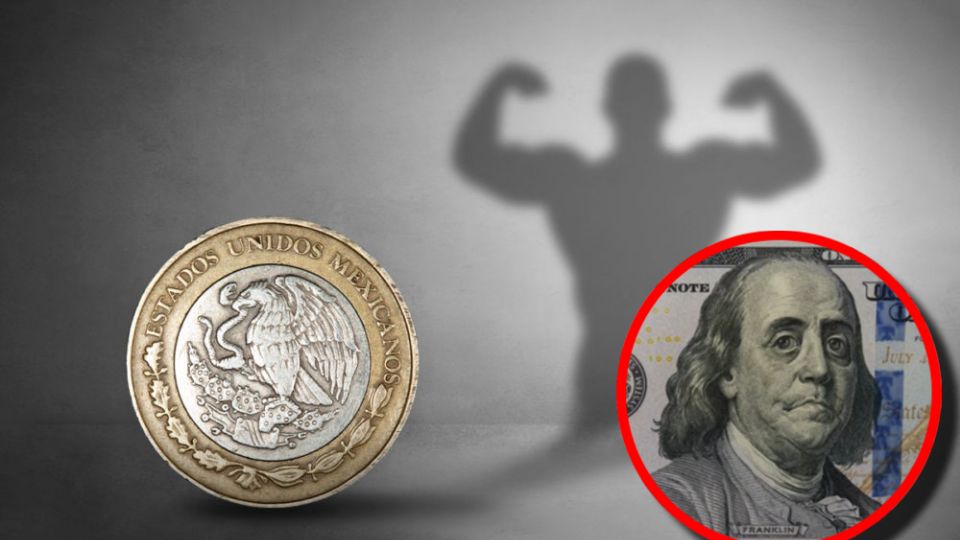 La moneda nacional despertó con buenas ganancias, pese a la posición mostrada en días pasados