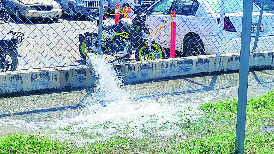 No habrá tolerancia con empresas y personas.