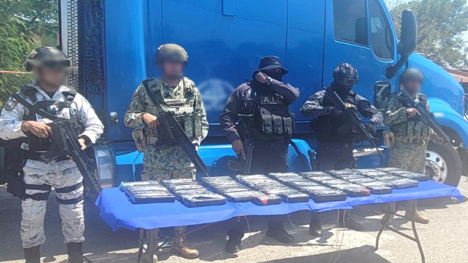 Desde su inicio el 5 de febrero de 2025, la operación ha derivado en la detención de miles de delincuentes, armas, cartuchos, vehículos ilegales y drogas